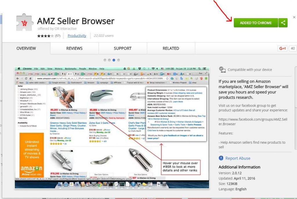 amz seller browser