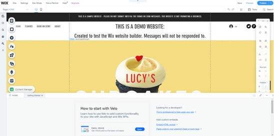 preview of wix editor