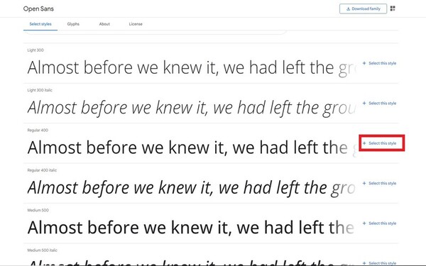 screenshot from google fonts under open sans family font